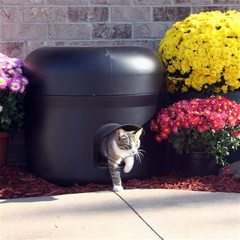 metal outside cat house|outdoor cat house with shelter.